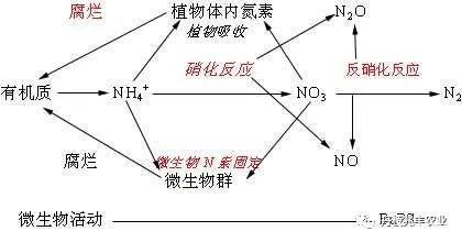 聚乙烯树脂——塑造未来的绿色革命